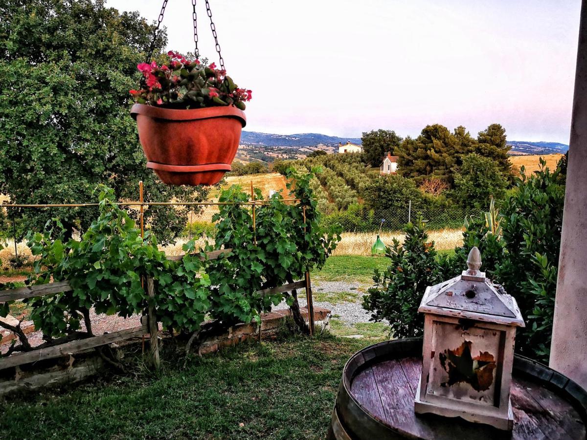 Agriturismo I Casamenti Istia dʼOmbrone المظهر الخارجي الصورة