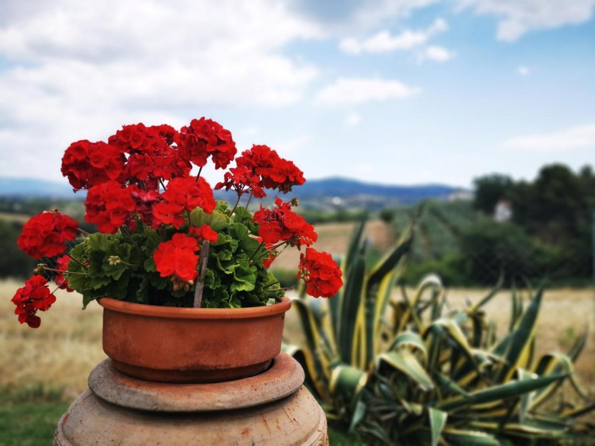 Agriturismo I Casamenti Istia dʼOmbrone المظهر الخارجي الصورة