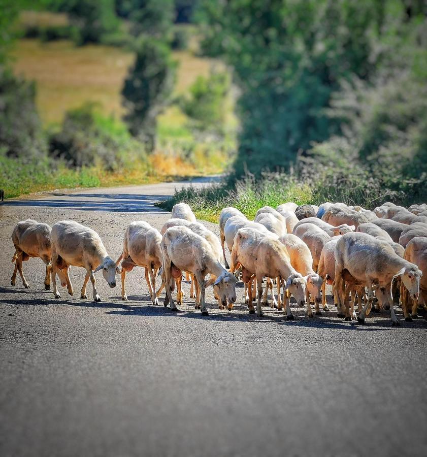 Agriturismo I Casamenti Istia dʼOmbrone المظهر الخارجي الصورة