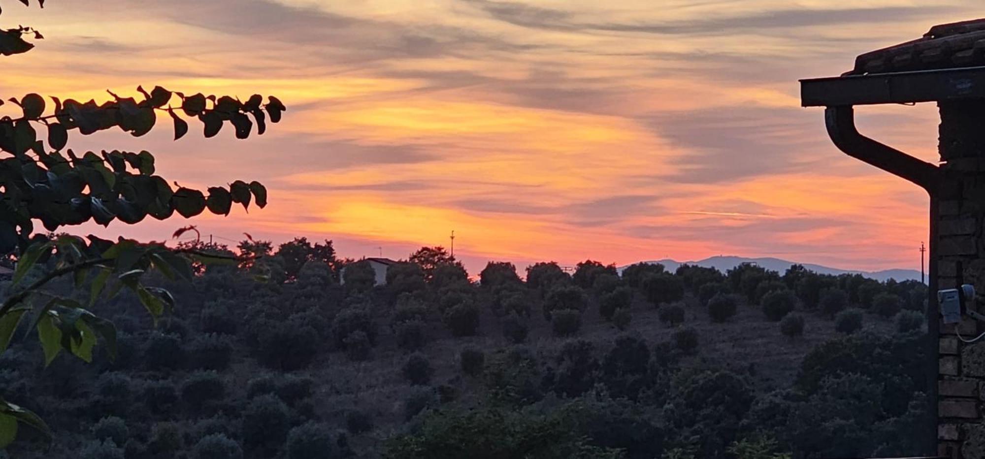 Agriturismo I Casamenti Istia dʼOmbrone المظهر الخارجي الصورة