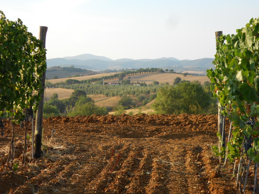 Agriturismo I Casamenti Istia dʼOmbrone المظهر الخارجي الصورة