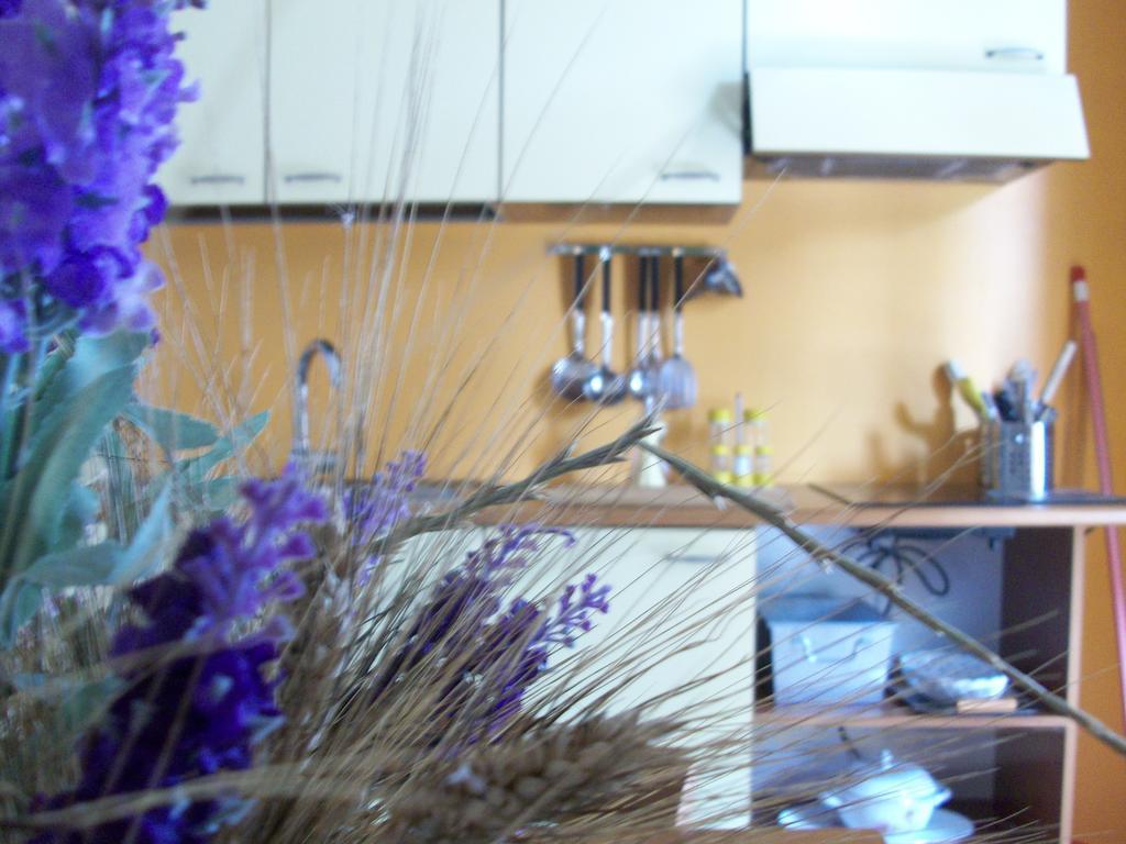 Agriturismo I Casamenti Istia dʼOmbrone المظهر الخارجي الصورة
